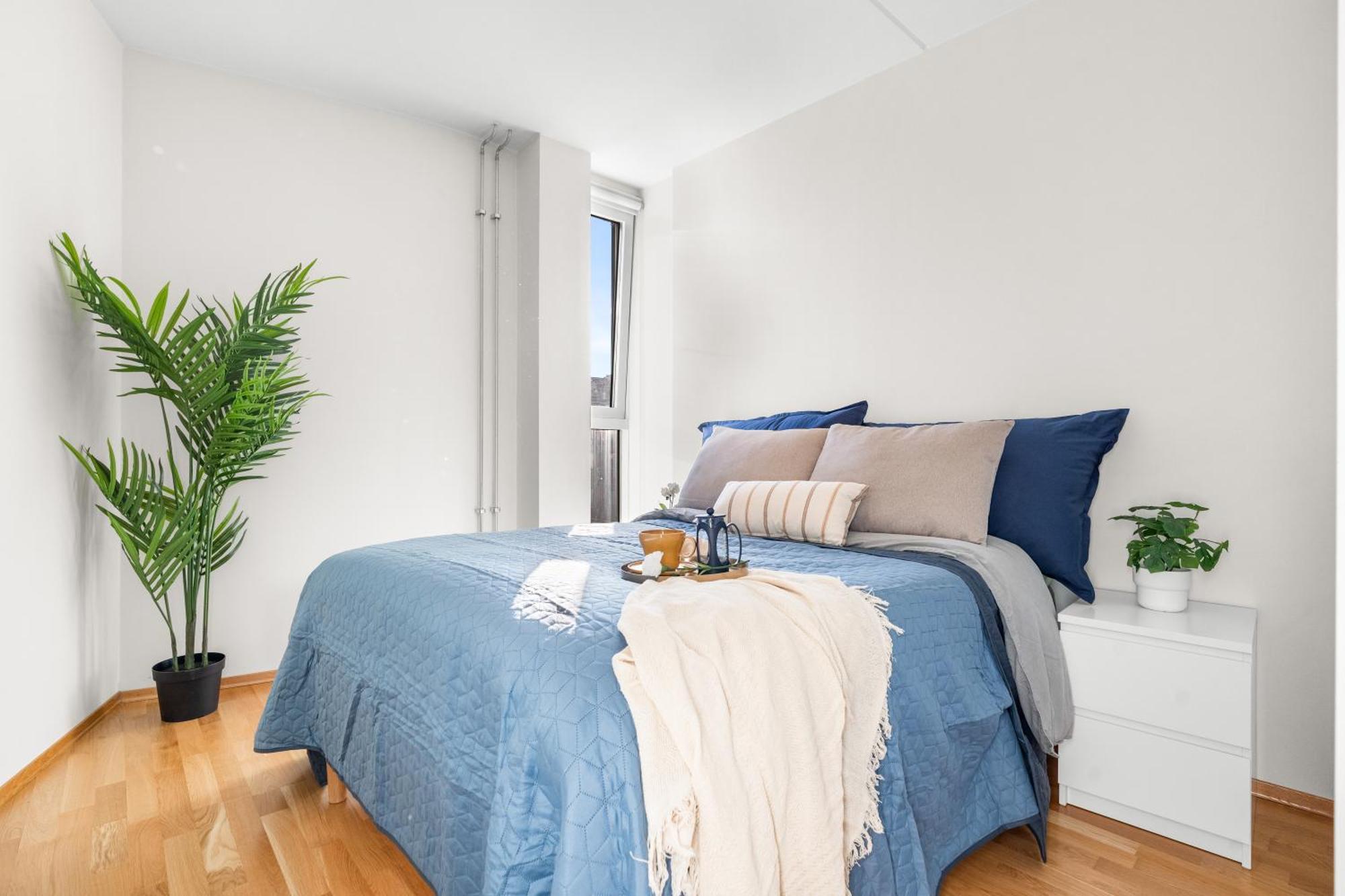 Top Floor With Balcony - Super Central - 5 Pax Oslo Eksteriør billede